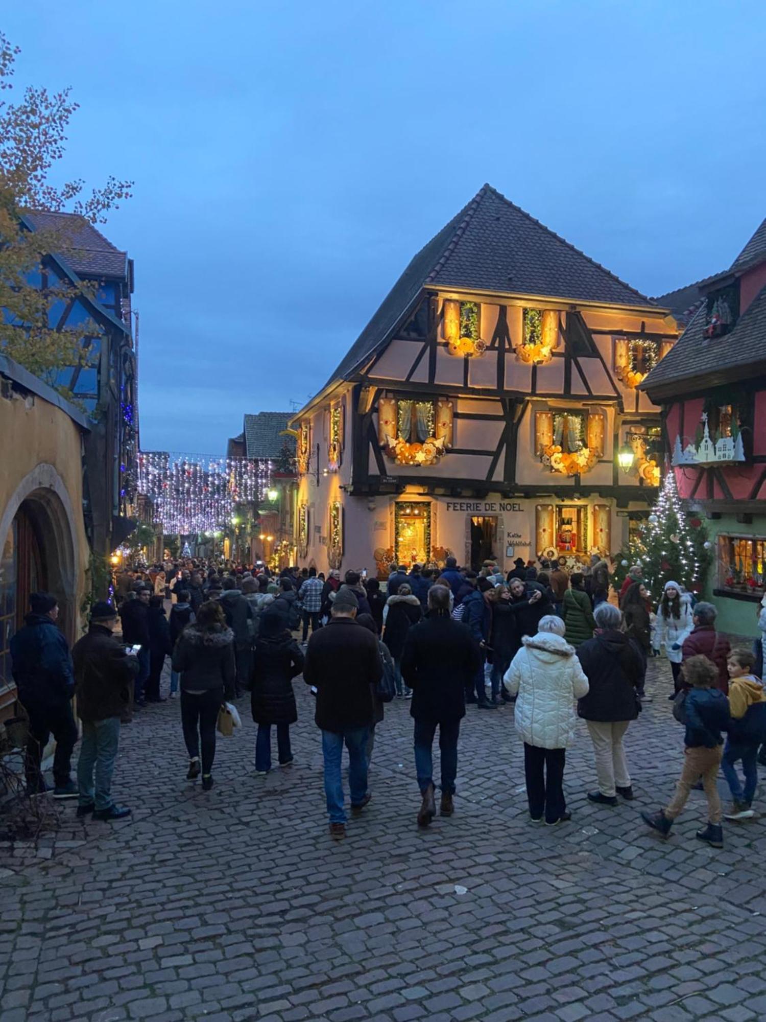 Appartement Chaleureux Vue Sur Centre Historique Riquewihr Dış mekan fotoğraf
