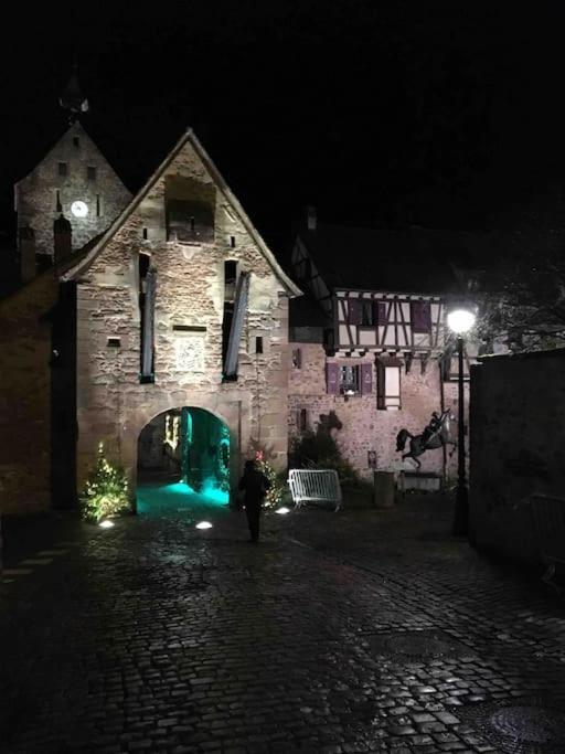 Appartement Chaleureux Vue Sur Centre Historique Riquewihr Dış mekan fotoğraf